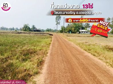 ขายที่นาแปลงใหญ่ โซน ต.นาเจริญ อ.เดชอุดม จ.อุบลราชธานี นาเจริญ เดชอุดม w5uhu04R
