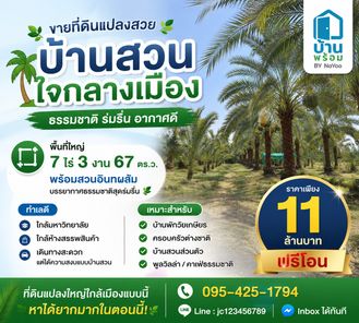 ขายที่ดินพร้อมสวนอินทผลัม ท่าทอง เมืองพิษณุโลก B9pRzFkB