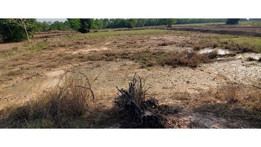 ขายที่ดินแปลงใหญ่ โคกขมิ้น พลับพลาชัย qU1pHwvr