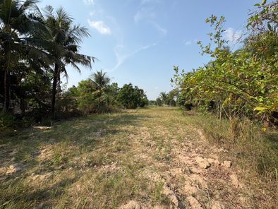 ขายที่ดิน โนนเจริญ บ้านกรวด ZMAmbJq5