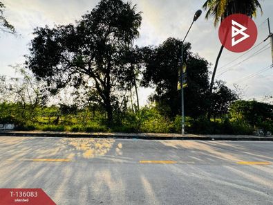 ขายที่ดิน เนื้อที่ 200.0 ตารางวา อำเภอบางละมุง ชลบุรี ห้วยใหญ่ บางละมุง 83ZsWniR