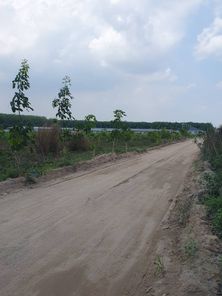 🔥 ขายที่ดินสวนยาง แปลงสี่เหลี่ยมสวย ทำเลทอง EEC ใกล้นิคมฯ เจ้าของขายเอง 🔥 ปลวกแดง-CK-แม่น้ำคู้-อีสเทิร์นซีบอร์ด tdhxhICm