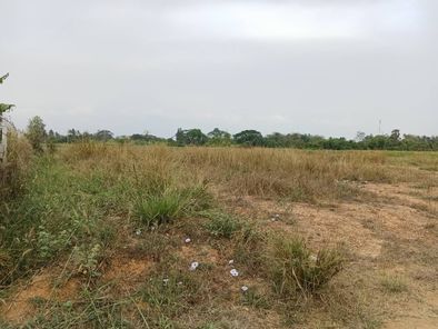 ขายที่ดิน ในเมือง - ศูนย์ราชการ - ทุ่งสร้าง WWDFW01A