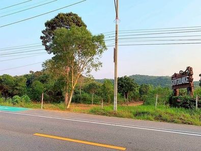 ขายที่ดินสวย พัทยา บางละมุง ชลบุรี พัทยากลาง เนินพลับหวาน หนองปรือ LjjlFLCX