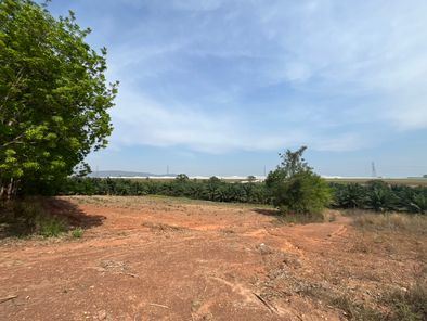 [ขาย] ที่ดิน 38 ไร่เศษ ในนิคมโรจนะ หนองใหญ่ ห้างสูง หนองใหญ่ lodVJzCb