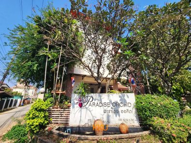 พาราไดซ์ ออร์คิด