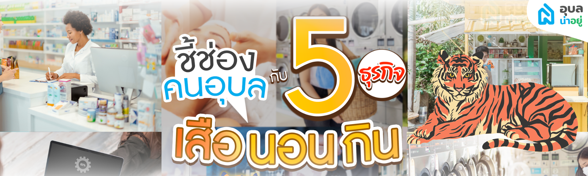 Content_เสือนอนกิน