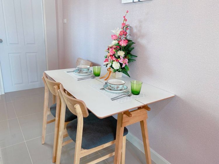 ภาพแบบบ้าน-Premium Town