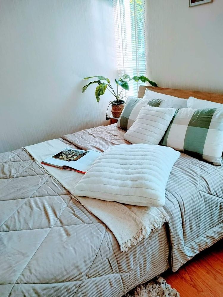 ภาพแบบบ้าน-บ้านแฝด 2 ชั้น