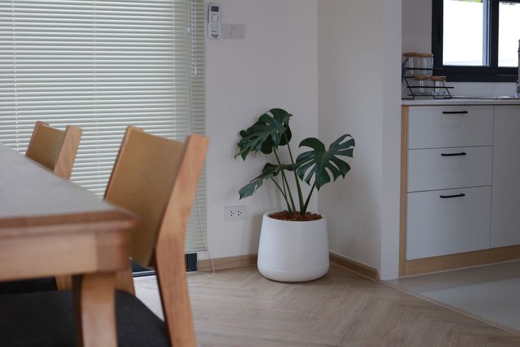 ภาพแบบบ้าน-PANTHEA