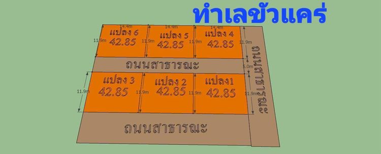ภาพแบบบ้าน-คอนเทมโพรารี่