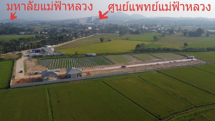 ภาพแบบบ้าน-คอนเทมโพรารี่