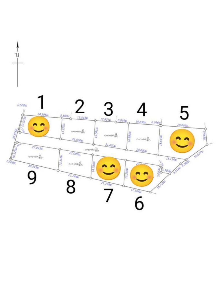 ภาพแบบบ้าน-Modren Classic
