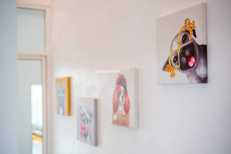 ภาพแบบบ้าน-ปราณโชค พูลวิลล่า