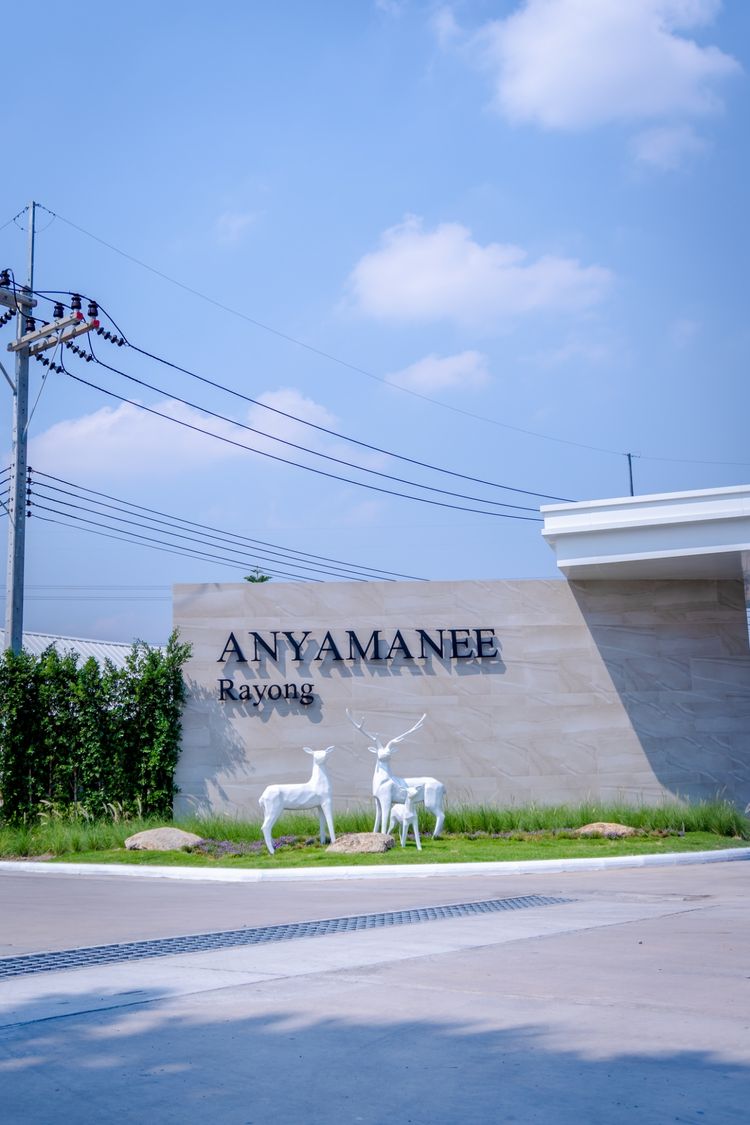 ภาพแบบบ้าน-Type B