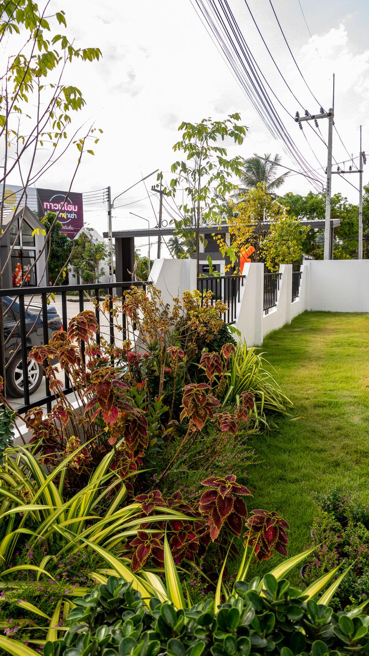 ภาพแบบบ้าน-ทาวน์โฮมชั้นเดียว