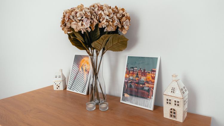 ภาพแบบบ้าน-ทาวน์โฮมชั้นเดียว