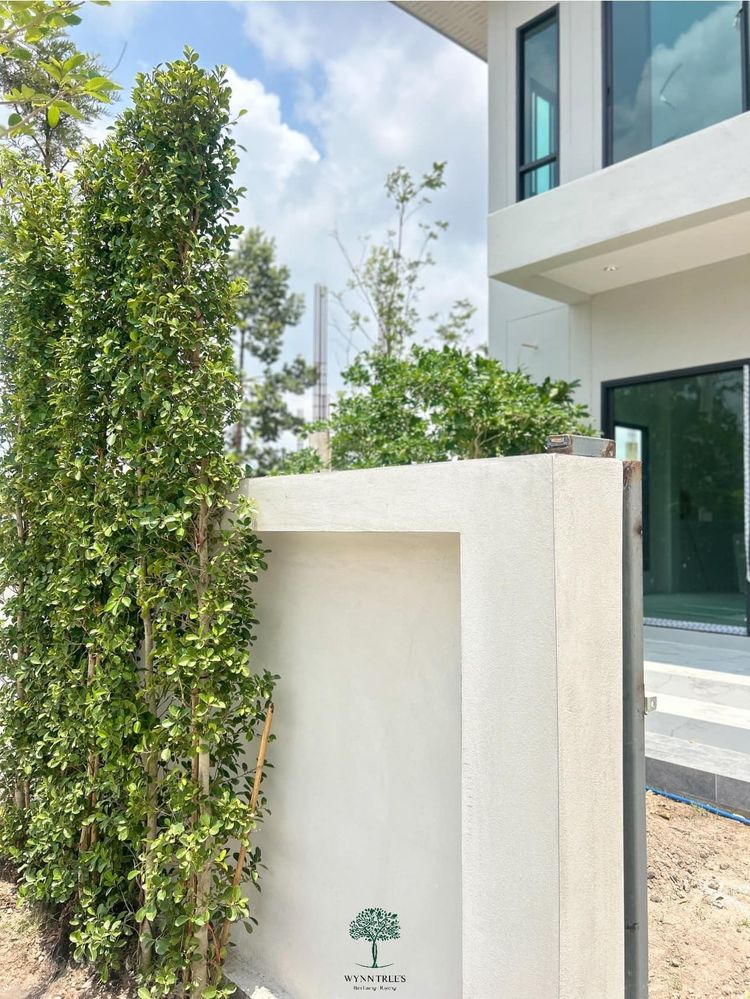 ภาพแบบบ้าน-บ้านเดี่ยว