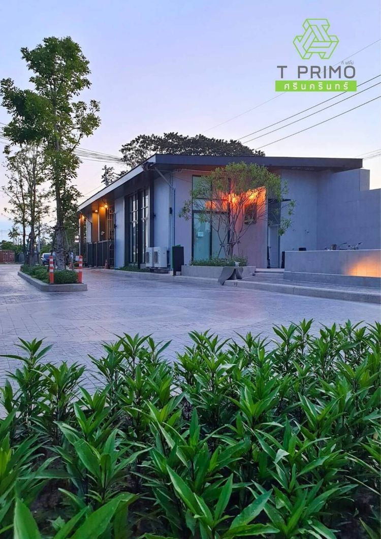 ภาพแบบบ้าน-บ้านเเฝด