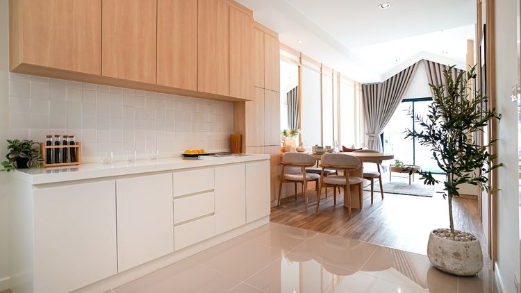 ภาพแบบบ้าน-Zen