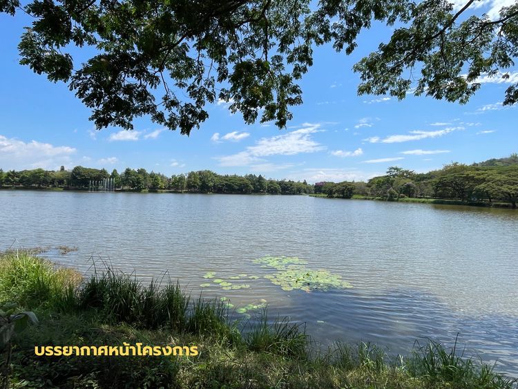 ภาพแบบบ้าน-คอนเทมโพรารี่