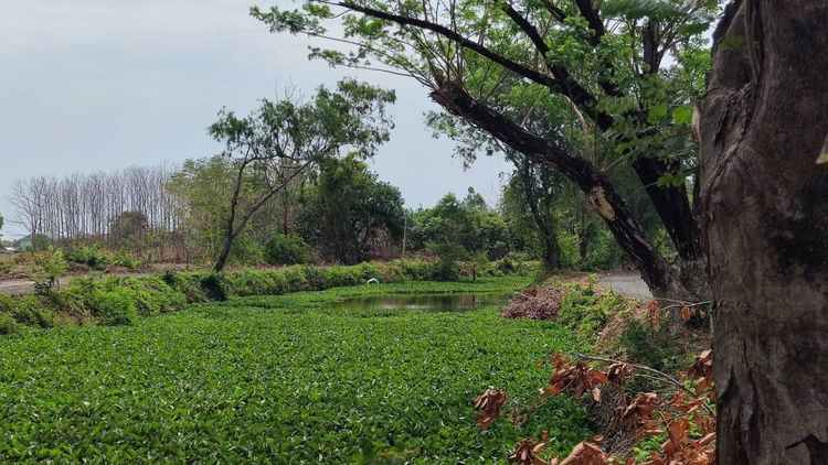 ภาพแบบบ้าน-Type B