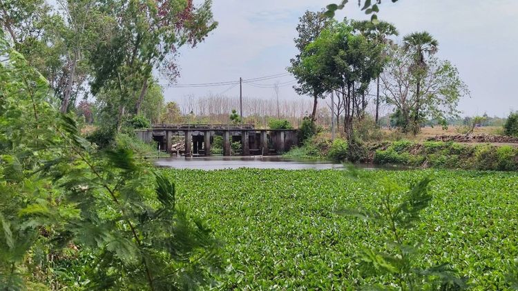 ภาพแบบบ้าน-Type A