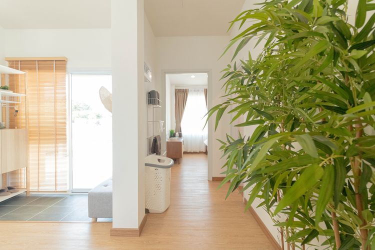 ภาพแบบบ้าน-แบบบ้านฮารุ (HARU)