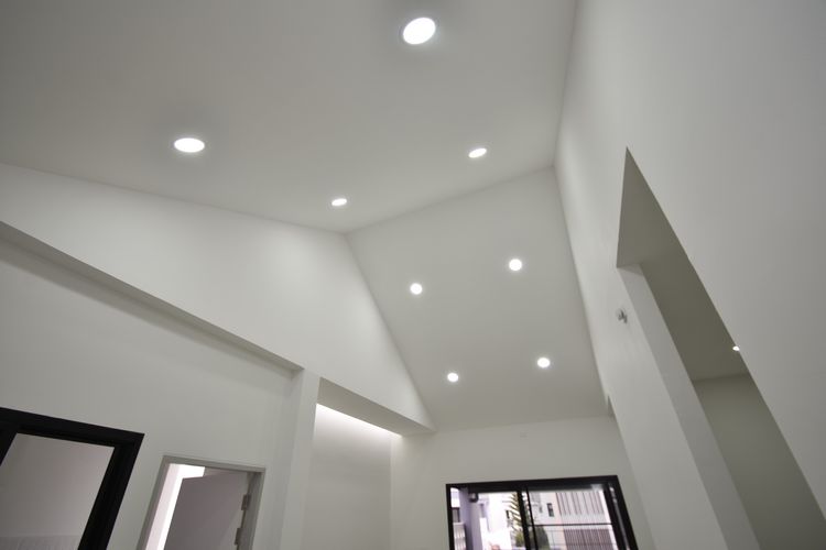 ภาพแบบบ้าน-PALLIDA