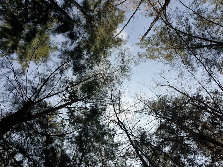 ภาพแบบบ้าน-บ้านเดี่ยว