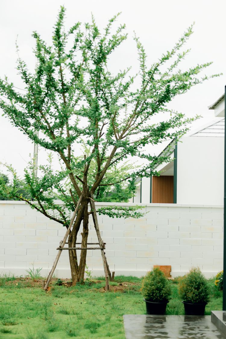 ภาพแบบบ้าน-Tharabhirom Living Space