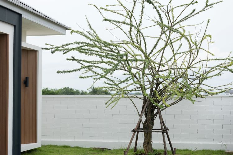 ภาพแบบบ้าน-Tharabhirom Living Space