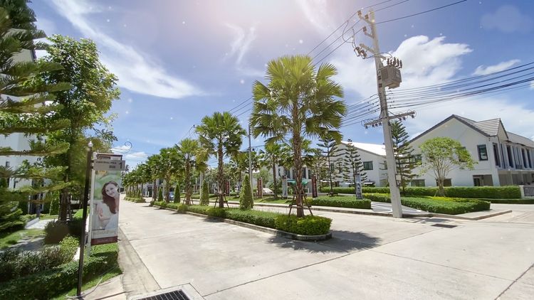 ภาพแบบบ้าน-Cartier