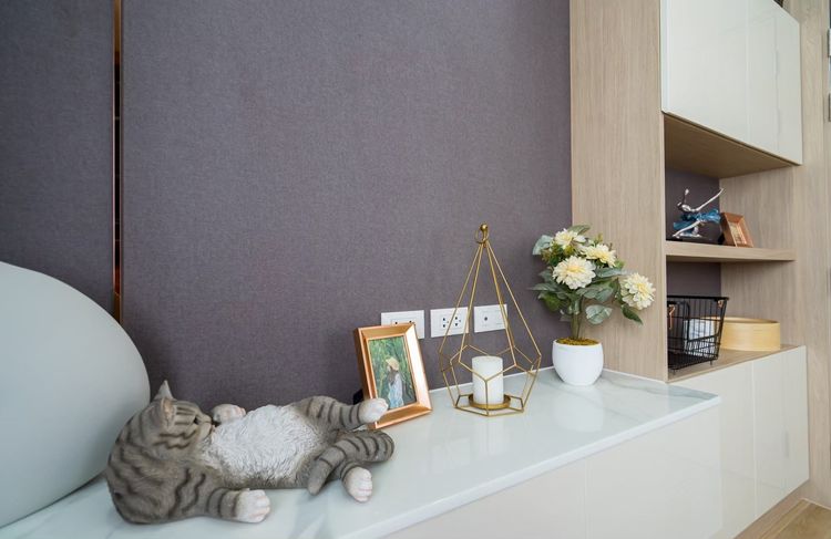 ภาพแบบบ้าน-Type A