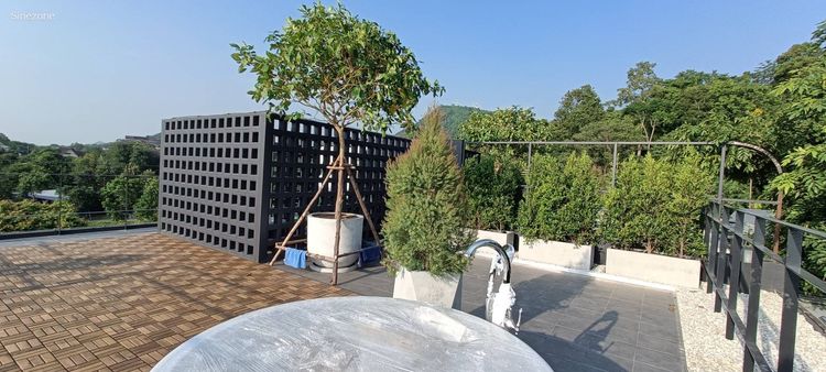 ภาพแบบบ้าน-TYPE B (PENTHOUSE ROOFTOP)
