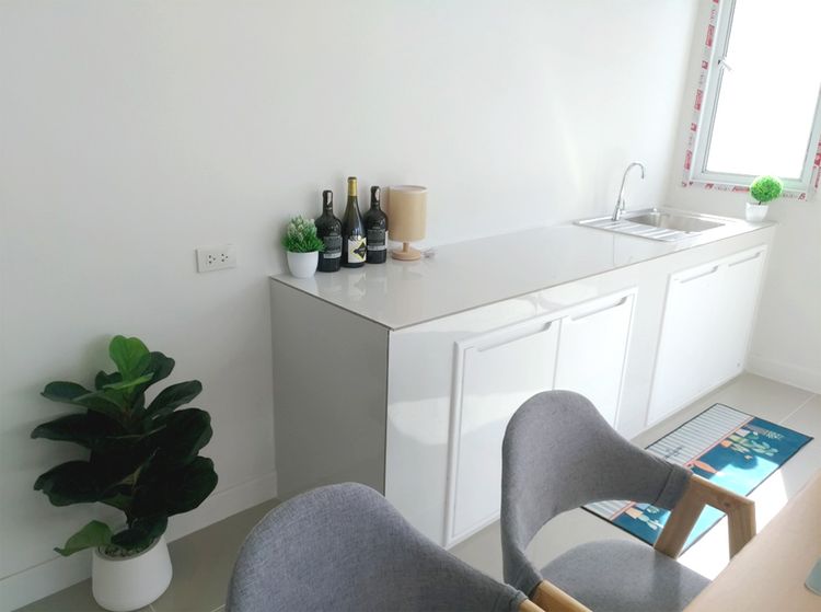 ภาพแบบบ้าน-บ้านแฝดชั้นเดียว Type T