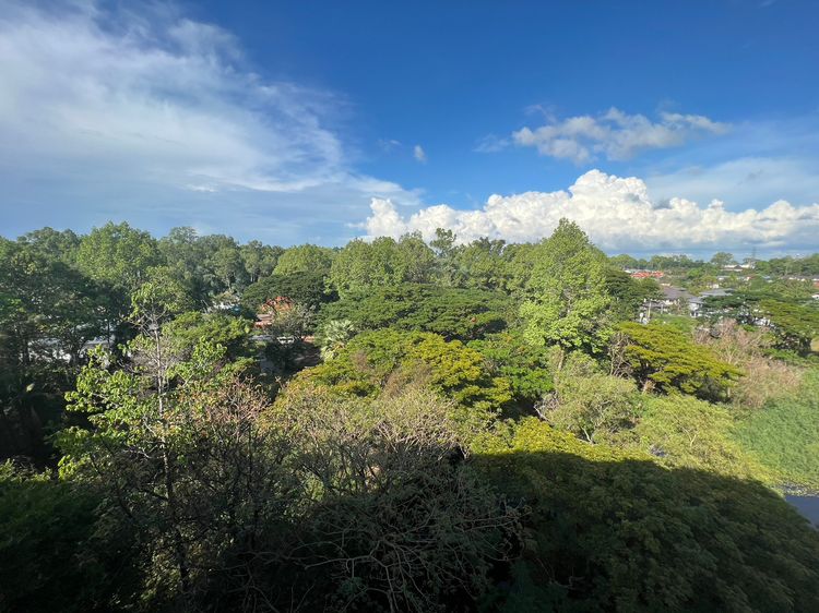 ภาพแบบบ้าน-TOWER A