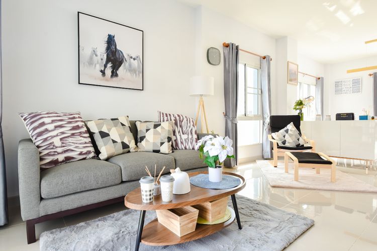 ภาพแบบบ้าน-Chicory