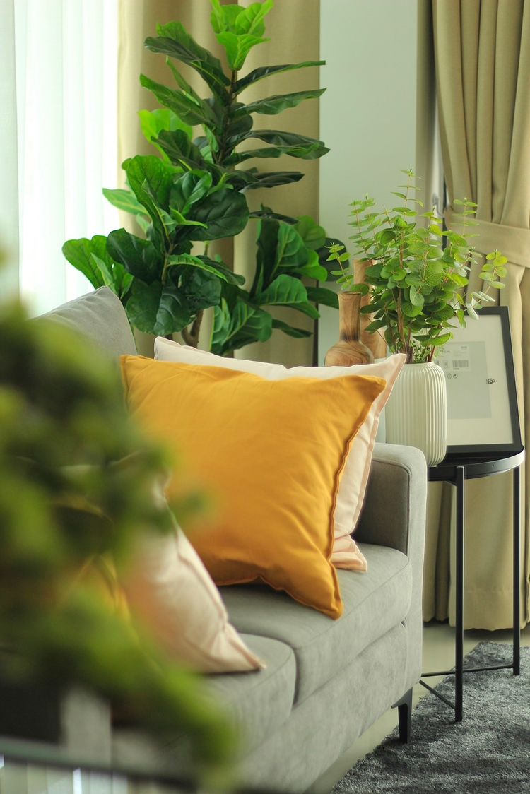 ภาพแบบบ้าน-ZEN MAX