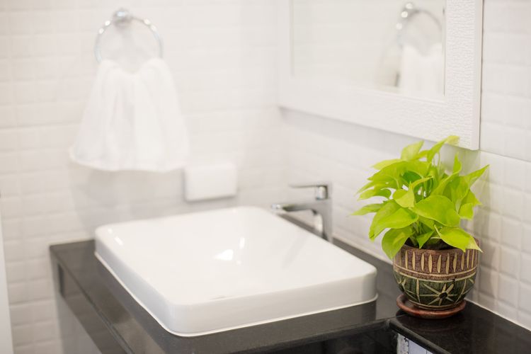 ภาพแบบบ้าน-ลิลลี่