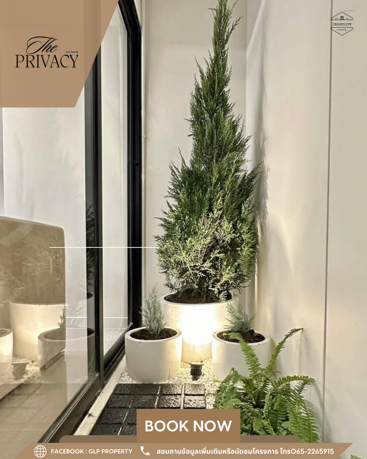 ภาพแบบบ้าน-เดอะ ไพรเวซี่