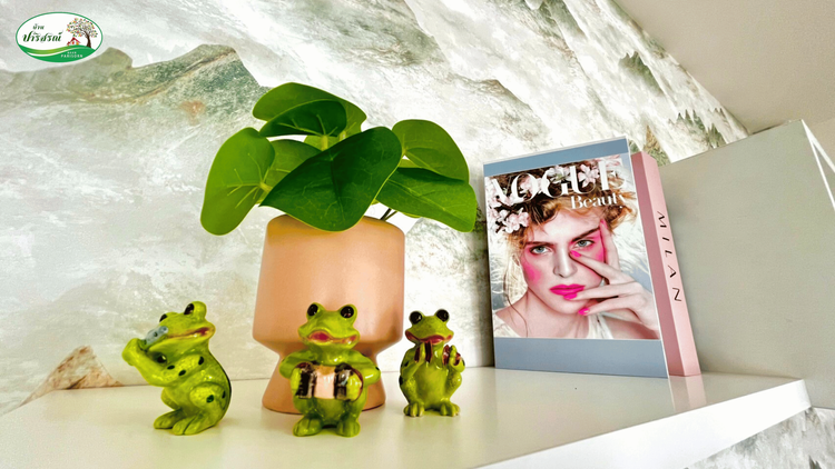 ภาพแบบบ้าน-บ้านพร้อมเฟอร์นิเจอร์และของตกแต่ง