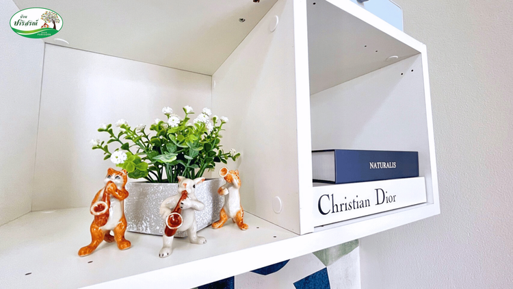 ภาพแบบบ้าน-บ้านพร้อมเฟอร์นิเจอร์และของตกแต่ง