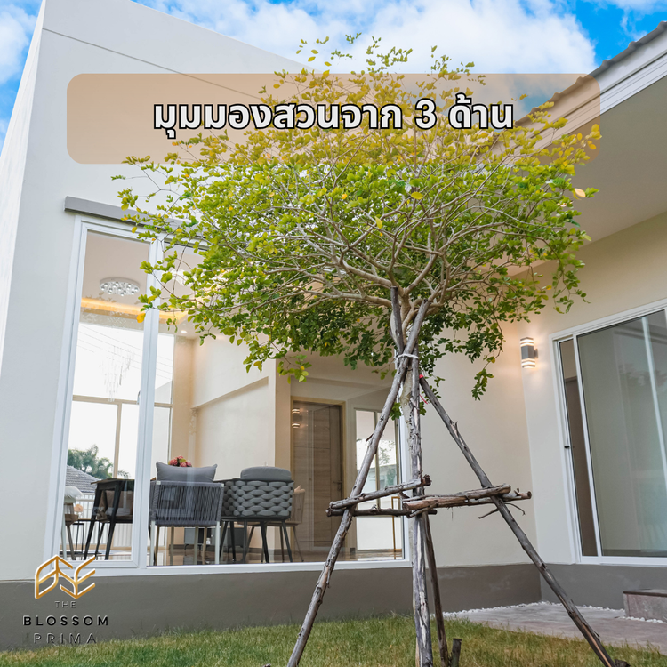 ภาพแบบบ้าน-บลอสซั่ม พรีม่า ลักชูรี่ วิลล่า