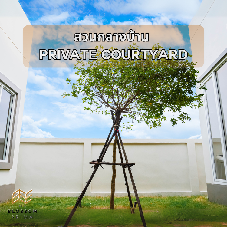 ภาพแบบบ้าน-บลอสซั่ม พรีม่า ลักชูรี่ วิลล่า