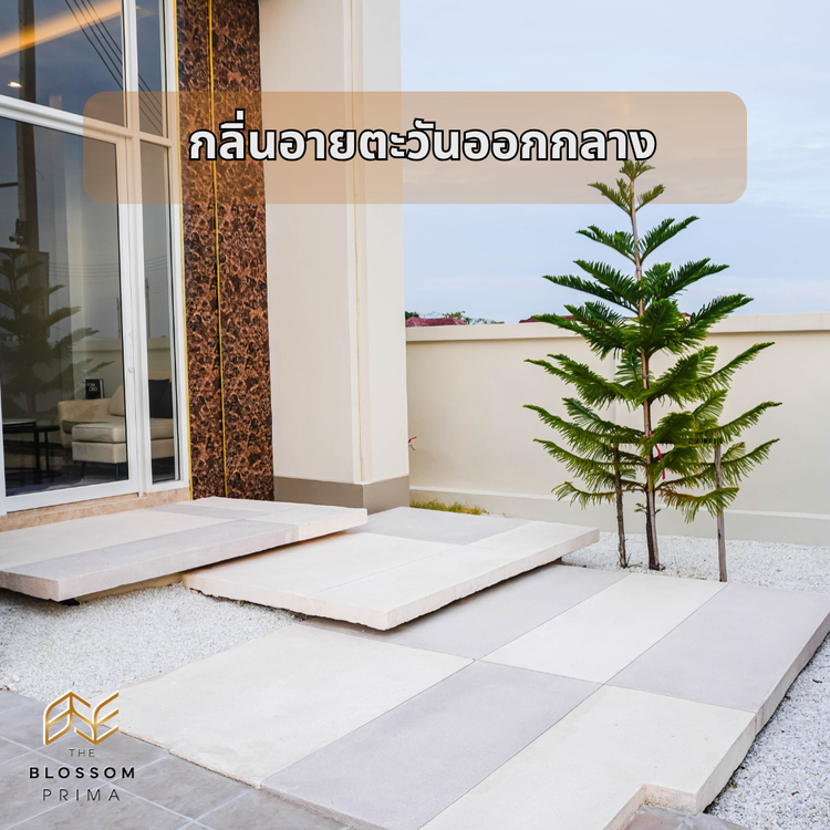 ภาพแบบบ้าน-บลอสซั่ม พรีม่า ลักชูรี่ วิลล่า