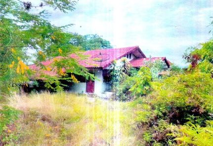 ขายบ้านเดี่ยว 1ชั้น ราคา 885,000 บาท ในอำเภอเฉลิมพระเกียรติ