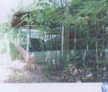 ขายบ้านเดี่ยว 1 ชั้น ในโครงการ คอนสาย ราคา 2.65 แสนบาท ในอำเภอตระการพืชผล