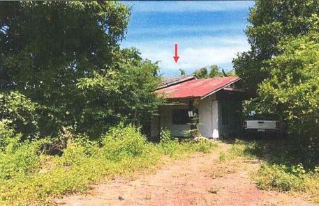 ขายบ้านเดี่ยว 1 ชั้น ราคา 1.16 ล้านบาท ในอำเภอตระการพืชผล