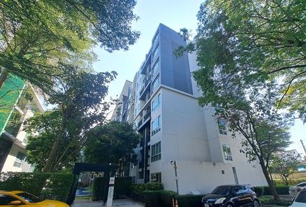 ขายคอนโด 1ห้อง โครงการเนทูเรซ่า อาร์ท เรเวสสา อำเภอบางละมุง ราคา 1.62 ล้านบาท